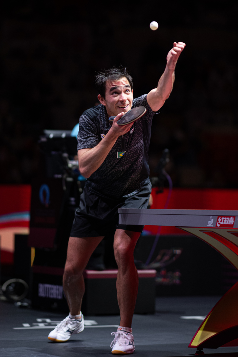 伦纳德与哈 伦纳德与哈