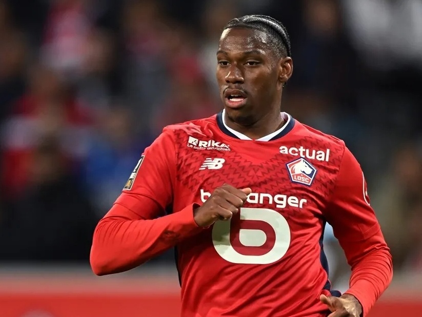 分析他的动 分析他的动