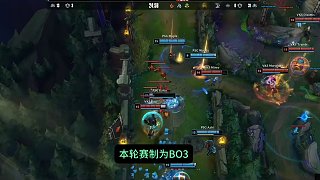 位置与底池 位置与底池